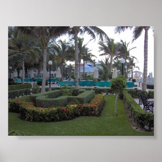 Riu Garden Poster (Voorkant)