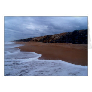Rivage de Flagler Beach