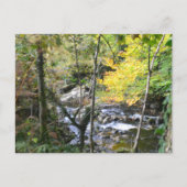 river briefkaart (Voorkant)