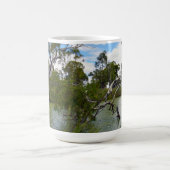 River Murray Australie, Branches d'arbre, Mug de c (Centre)