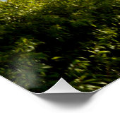 River Murray Australie La vue, affiche (Coin)