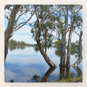 River Murray Australië schoonheid van de gom bomen Glazen Onderzetter