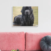 River Newfoundland Canvas Foto (Insitu (Woonkamer))