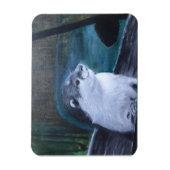 River Otter flexible magnet Magneet (Verticaal)