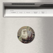 River Otter Magnet Magneet (Insitu (Vaatwasser))