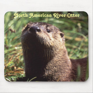 River Otter van dichtbij en persoonlijke Mousepad Muismat