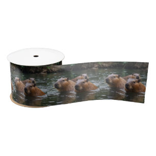 River Serenity: Capybaras Zwemmen in de Flow Lint