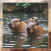 River Serenity: Capybaras Zwemmen in de Flow Raamsticker (Vel 2)