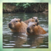River Serenity: Capybaras Zwemmen in de Flow Raamsticker (Vel 3)