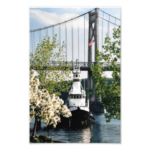 River Spring Scene Foto Afdruk
