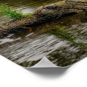 Riverbank Landschap Reflecties Weelderig groen Poster (Hoek)