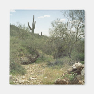 Riverbed Herdenking Desert Koelkast Magnet Magneet