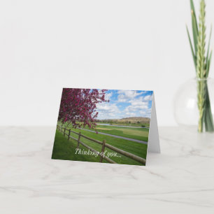 Rivercut Au Printemps Penser À Votre Carte