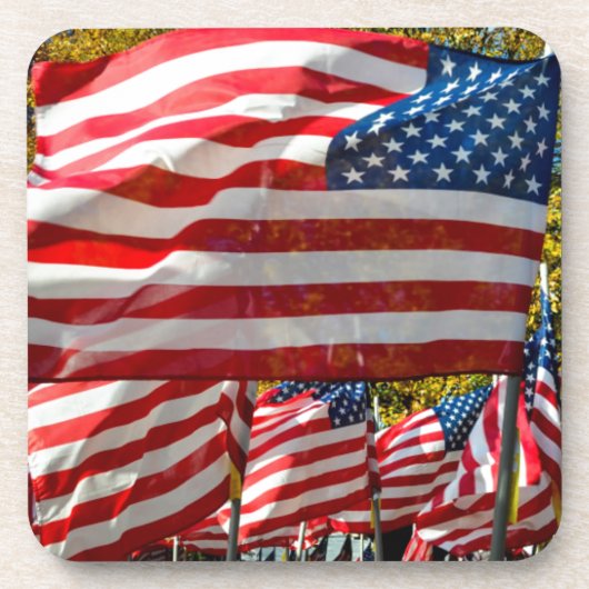 Riverdale, New York, VS. Wijnland-land Onderzetter (Voorkant)