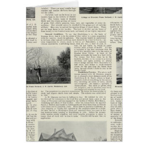 Riverdale Prune Orchard, Californië