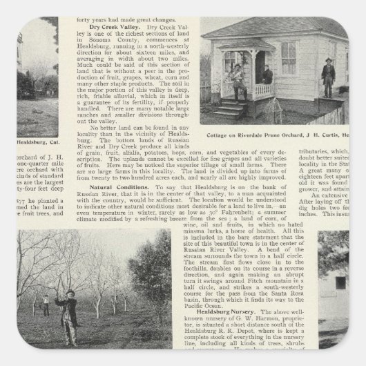 Riverdale Prune Orchard, Californië Vierkante Sticker (Voorkant)