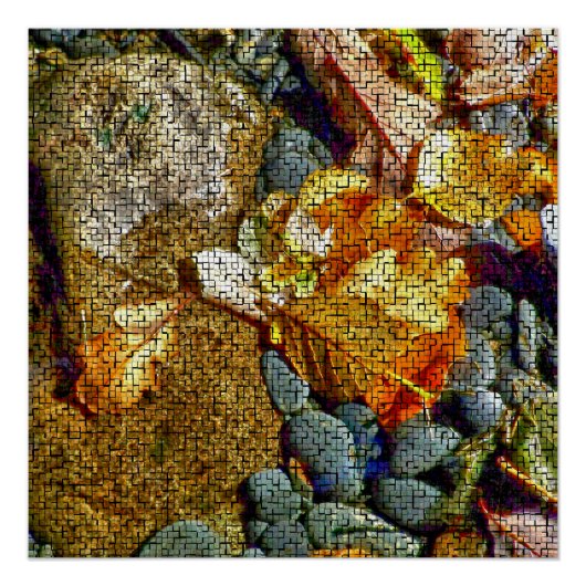 RIVERS PERFECT POSTER (Voorkant)