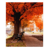 Riverside Park Benches Foto Afdruk (Voorkant)