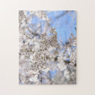 Riverside Park Spring Cherry Blossom New York NYC Legpuzzel