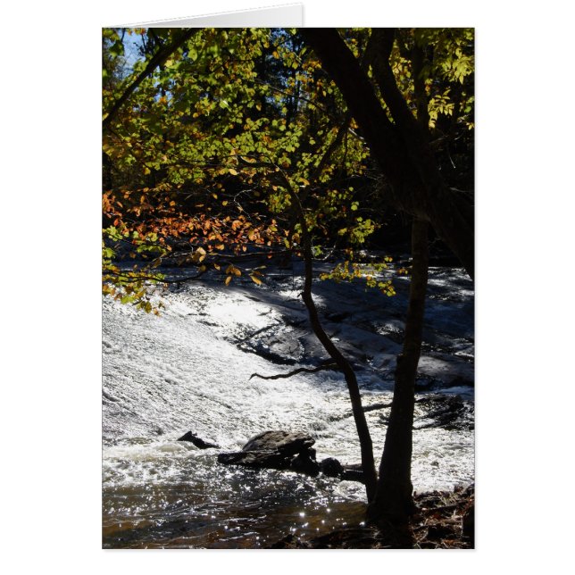 Riverside Sparkles (Voorkant)