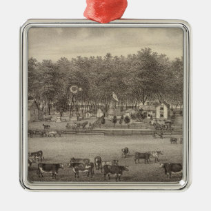 Riverside stock Boerderij, NE of Concordia, Kansas Metalen Ornament