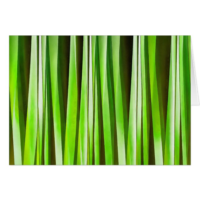 Riverweed vert tropical (Devant horizontal)