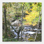 rivier behang (Voorkant)