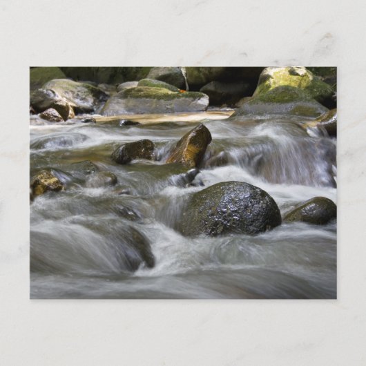 rivier briefkaart (Voorkant)