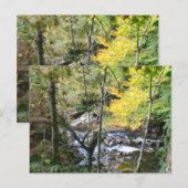 rivier briefkaart (Voorkant / Achterkant)