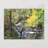 rivier briefkaart (Achterkant)