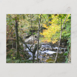 rivier briefkaart