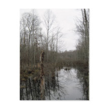 Rivier door de wildernis