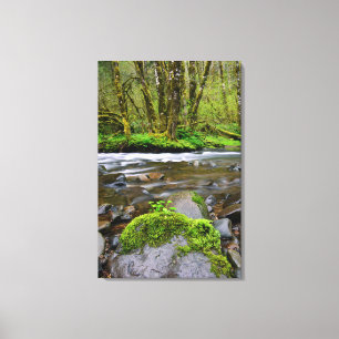 Rivier in groen bos, Oregon Canvas Afdruk