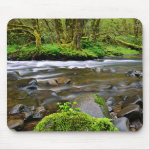 Rivier in groen bos, Oregon Muismat
