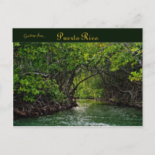 Rivier in Puerto Rico Briefkaart