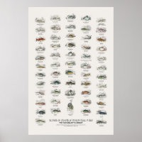 Rivier- & Jungle Tropische Vissen-Naturalist's Bib