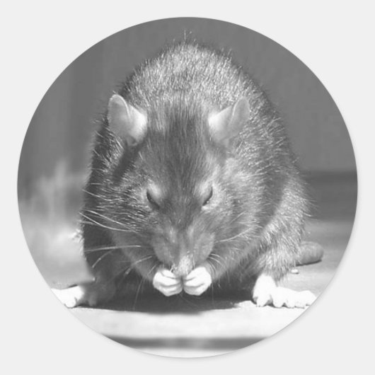 rivier ronde sticker (Voorkant)