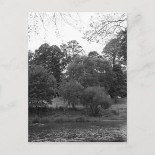 Rivier Taff in Bute Park, Cardiff - BW Briefkaart