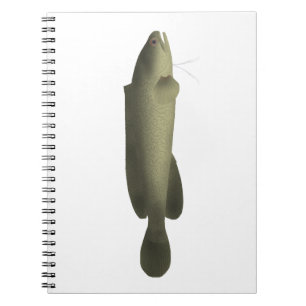 Rivier Zwartevis Print, Waarde Poster Papier (Mat) Notitieboek