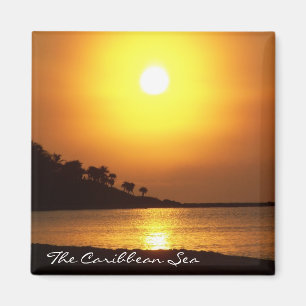 Riviera Maya Cancun Mexico Caribbean Zee Magnet Magneet