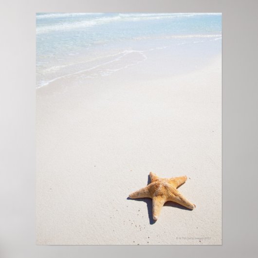 Riviera Maya Poster (Voorkant)