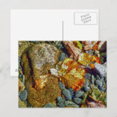 RIVIERE BRIEFKAART (Voorkant / Achterkant)