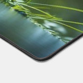 Rivière calme (Coin)