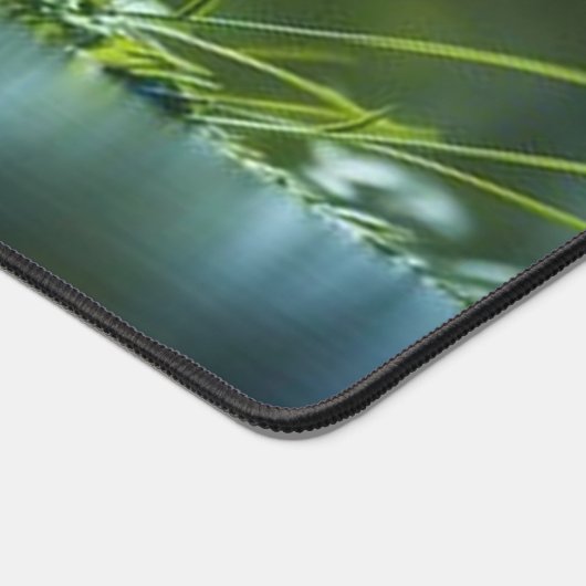 Rivière calme (Coin)