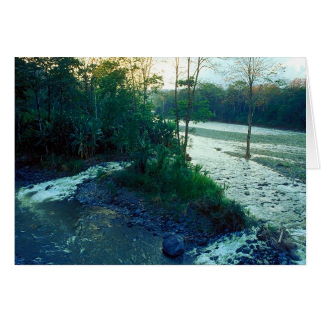 Rivière/Costa Rica (Devant horizontal)