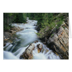 Rivière Crystal, forêt nationale de Gunnison,