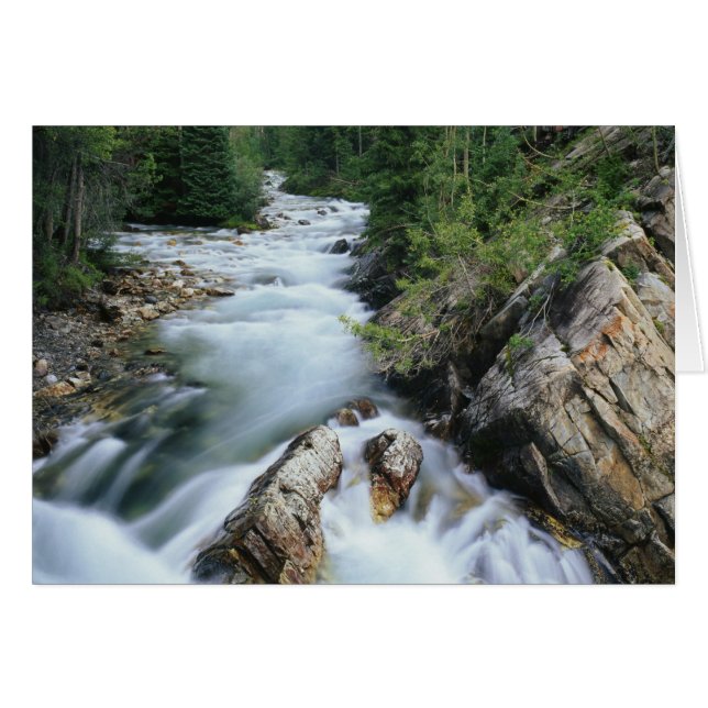Rivière Crystal, forêt nationale de Gunnison, (Devant horizontal)