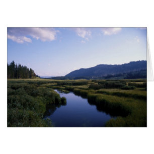 Rivière de Buffalo, North Fork Wy.