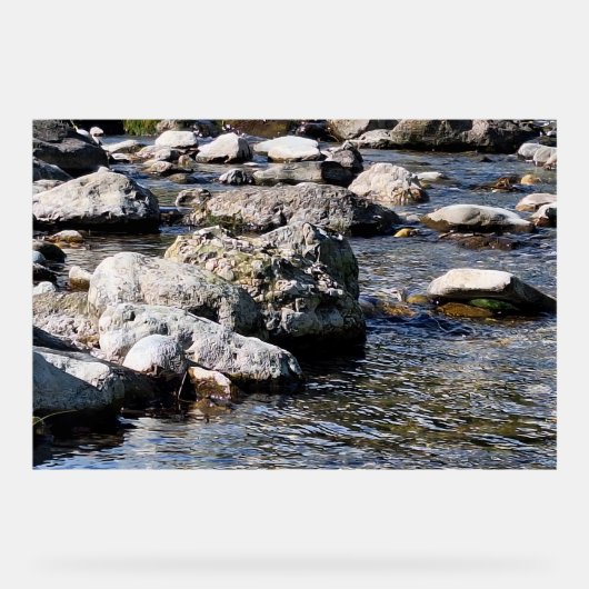 Rivière des Monts Carpates - Impression de Nature (Recto)
