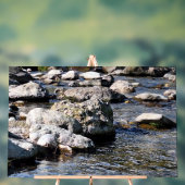 Rivière des Monts Carpates - Impression de Nature (Neutre)
